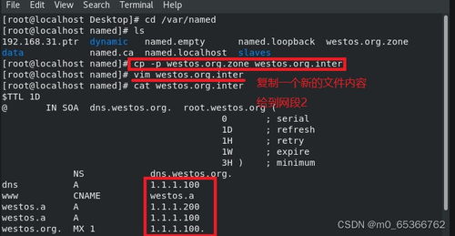 企業(yè)域名解析服務(wù)的部署及安全優(yōu)化實(shí)踐